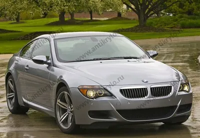 BMW 6 серия E63, E64, 2006 г., 4.8 л., бензин, автомат, купить в Витебске -  цена 21000 $, фото, характеристики. av.by — объявления о продаже  автомобилей. 104321715