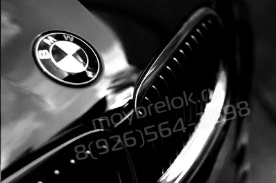 NEW OEM Genuine BMW E70 SUV BMW Emblem Badge Trunk Rear 51147157696 | eBay