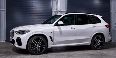 У нас появились фотографии нового BMW X5 — Авторевю