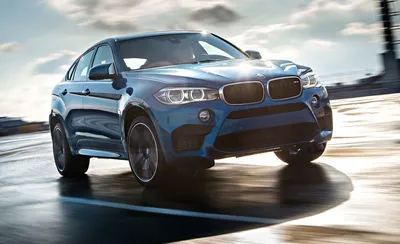 AMSTERDAM - APRIL 16, 2015: BMW X6 M Car Showcased At The AutoRAI Motor  Show. Stock Photo, Picture and Royalty Free Image. Image 107473956.