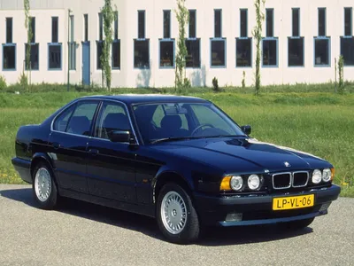 Продажа BMW 5 Series 2005 Одесса WBANE31000B948603 - история авто на  auto.ria.com