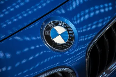 Эмблема BMW 51147498981 95мм.