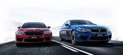 BMW упростит модельный ряд и избавится от непопулярных опций — Motor
