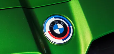 Логотип марки авто BMW из мха, значок BMW из мха №662926 - купить в Украине  на Crafta.ua