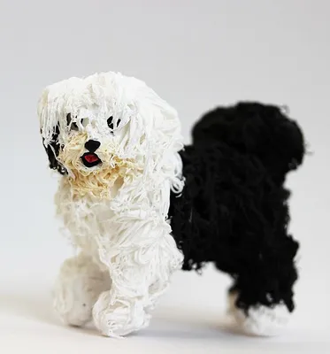 Картинка щенков Бобтейл собака животное 1600x1200