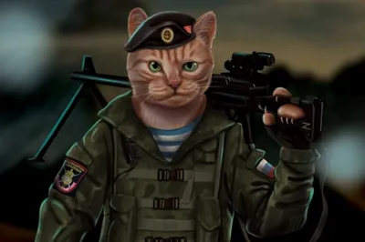 Боевые украинские коты. Вот почему я так люблю котов - они в любое время  остаются невозмутимыми.., этим же и успокаивают .. Я благодарна… | Instagram