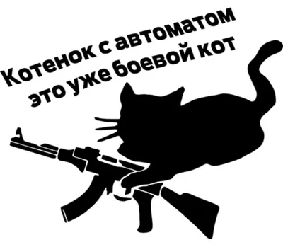 Боевые котята ! - YouTube
