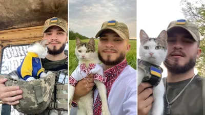 Боевые украинские коты. Вот почему я так люблю котов - они в любое время  остаются невозмутимыми.., этим же и успокаивают .. Я благодарна… | Instagram