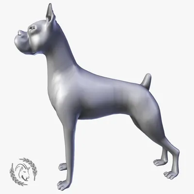 Боксер Собака 3D модель. Бесплатная загрузка. | Creazilla