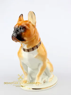 Реалистичное животное Dorimytrader, боксерская собака, плюшевая игрушка,  большая мягкая имитация домашней собаки, кукла, подарок для детей, 31 дюйм,  80 см DY61895 | AliExpress