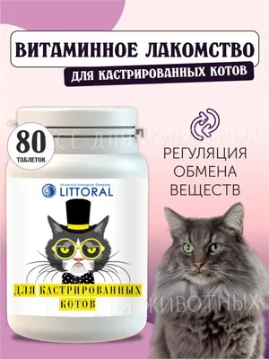 Сухой корм ROYAL CANIN URINARY CARE для взрослых кошек при мочекаменной  болезни (4 кг) - купить с доставкой по выгодным ценам в интернет-магазине  OZON (178465214)