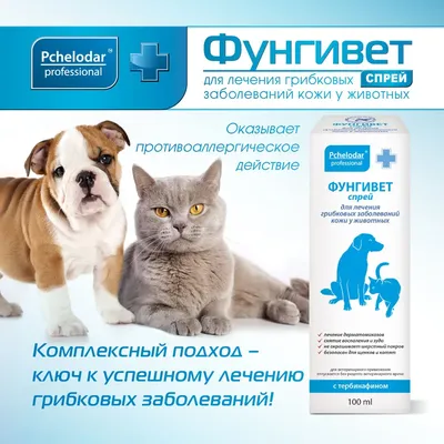 Купить Отивет Препарат для лечения отита и заболеваний кожи у собак и кошек  - доставка, цена и наличие в интернет-магазине и аптеках Доктор Вет