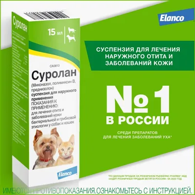 Капли ушные для кошек и собак Цитодерм антибактериальные, купить в  интернет-магазине Филя с быстрой доставкой в Санкт-Петербурге