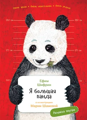 Большая панда - Животное панда: энциклопедия, все про панду!