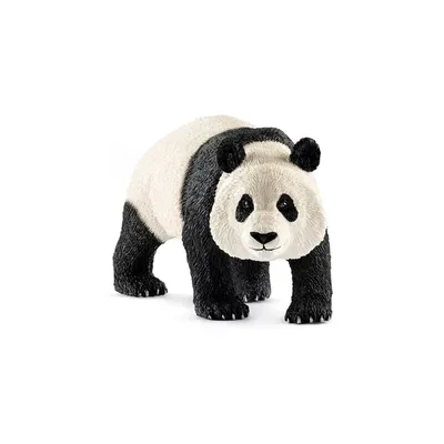 Ученые выяснили, как большие панды остаются «щекастыми», несмотря на  жесткую бамбуковую диету