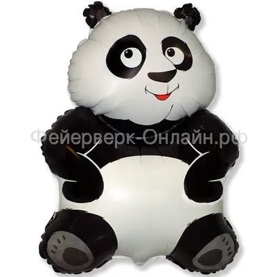 Первый родившийся в России детеныш большой панды оказался самкой — РБК