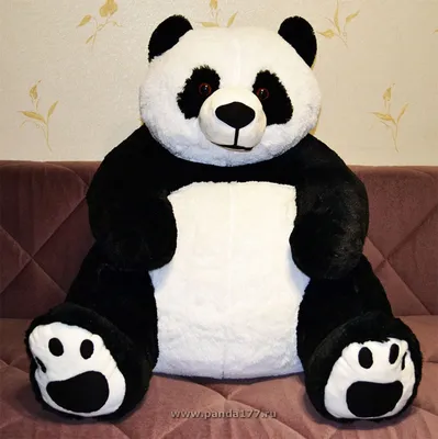 Очень большая панда застряла на …» — создано в Шедевруме