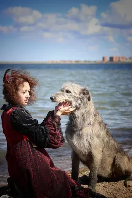 Топ-7 пород собак с необычной внешностью - Питомцы Mail.ru