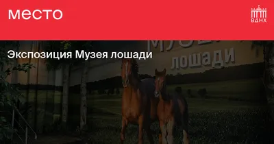 В Петербурге больше всего коней у... Петра I - KP.RU