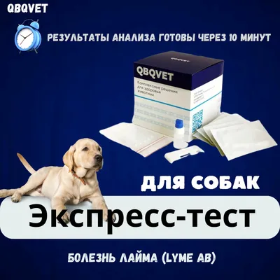 RolfClub 3D Ошейник для крупных собак от клещей, блох, вшей, власоедов 75  см | Купить в Москве