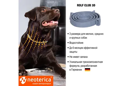 Ошейник (Rolf Club) 3D (6мес), 40см от блох, клещей, комаров для мелких  собак и щенков (серый) (ЛИЦЕНЗИЯ), купить оптом в Москве, цена,  характеристики, описание - Симбио - ЗооЛэнд