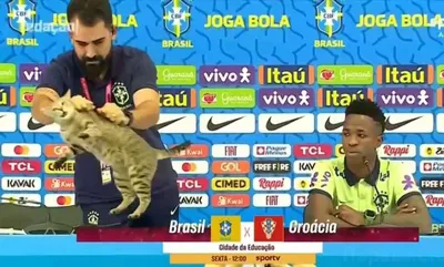 Пазл «Бразильский кот» из 195 элементов | Собрать онлайн пазл №278653