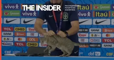 Куклачев о том, что пресс-атташе сборной Бразилии сбросил кота: «Это было  грубо»