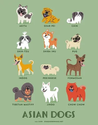 Самые сильные породы собак в мире! | Animal__World | Дзен