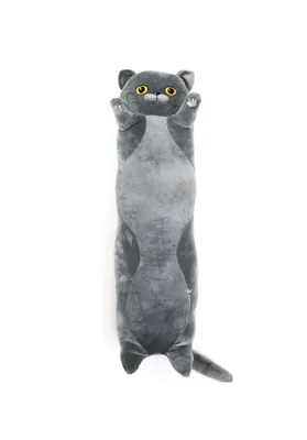 Мягкая игрушка кот Британский 70 см - купить с доставкой по выгодным ценам  в интернет-магазине OZON (1093888753)