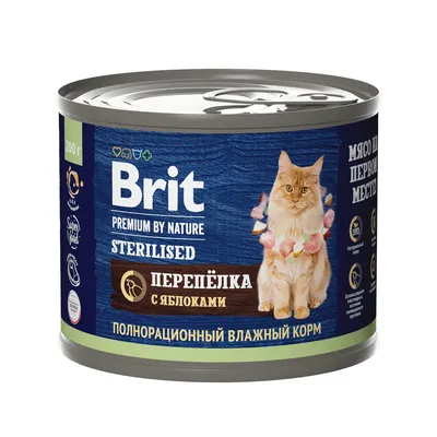 Купить корм Brit Premium by Nature Cat Adult Salmon для кошек с лососем -  Интернет-зоомагазин Zoolove