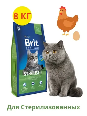Брит Кеа АНТИ-ХЭЙРБОЛ сухой корм для кошек для выведения шерсти из желудка,  с белой рыбой и индейкой, 400г, BRIT CARE Anti-Hairball