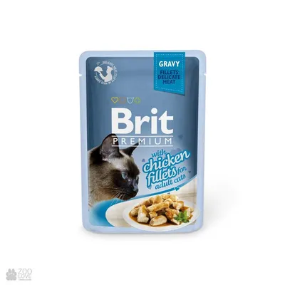 Корм для кошек сухой Brit / Брит Premium Kitten для котят гранулы с курицей  2кг / кошачья еда для ежедневного кормления - купить с доставкой по  выгодным ценам в интернет-магазине OZON (521138705)