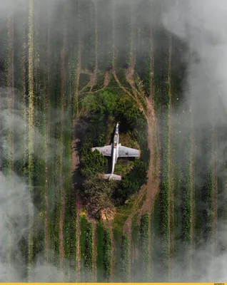 ✓ Заброшенные самолеты рядом с международным аэропортом✈️ ❤️Лайк этим  железным птицам! 📍 55.618130… | Instagram