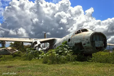 Заброшенные самолеты в лесу - 62 фото