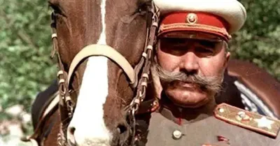 Budyonnovskaya horse / Буденновская лошадь | Картины, Холст, Работы