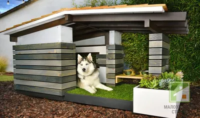 Будка для собаки с тамбуром и двускатной крышей купить в Москве