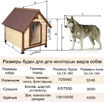 Изделия из дерева - Как построить будку для собаки своими руками. Для собаки,  которая живет во дворе, будка — это дом, совершенно необходимое строение,  она спит в ней, прячется от непогоды или