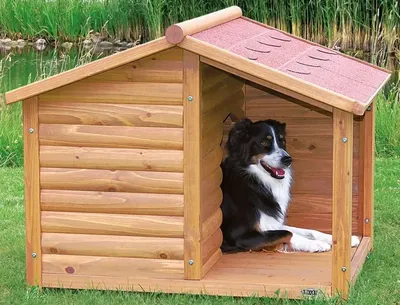 Вольер для собаки на участке: как выбрать удобный собачий дом, куда его  поставить и когда в нем нужна теплая будка?