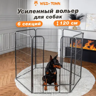 Вольер для собаки под ключ в Киеве: цена, фото | Арт Бастион