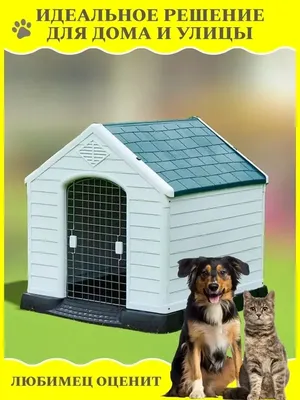 Домик для собаки в доме. Как организовать личное пространство собаке в доме  - советы и рекомендации от специалистов Зоодом Бегемот