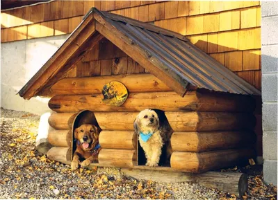 Двухсекционные будки для двух собак