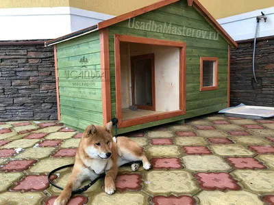 Будка для собаки, утепленная, цена в Нижнем Тагиле от компании Торговая  площадка на Балакинской
