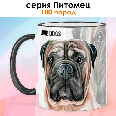 Бульмастиф Собака Домашний Питомец - Бесплатное фото на Pixabay - Pixabay