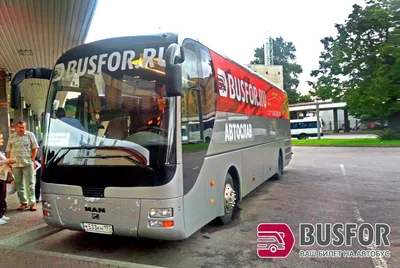 Автобусы Busfor — отзывы сервиса по поиску автобусных билетов — личный опыт  поездки - Дешевые авиабилеты