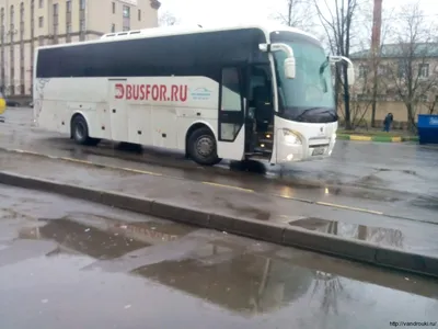 Отчет о поездке на автобусе Busfor из СПБ в МСК за 100 рублей (да-да, Вы не  ослышались). | Vandrouki.ru