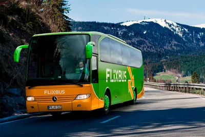 12 ПРИЧИН НИКОГДА НЕ ПОКУПАТЬ БИЛЕТЫ НА BUSFOR