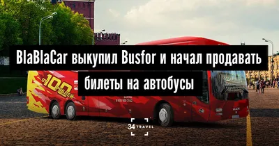 Отчет о поездке на автобусе Busfor из СПБ в МСК за 100 рублей (да-да, Вы не  ослышались). | Vandrouki.ru