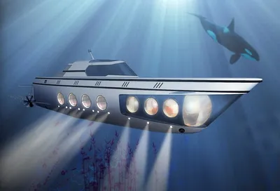 Частные подводные лодки: что это такое и сколько они стоят
