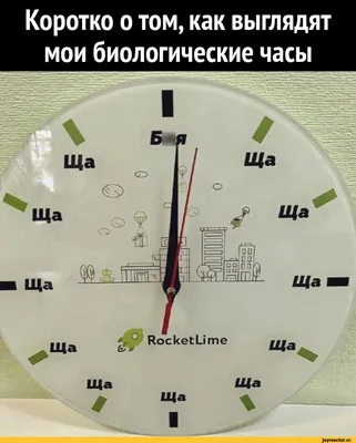 Часы настенные бесшумные на кухню \"Часовой завод ИДЕАЛ\" прикольные с  надписью \"Планы на день\", белый циферблат, 28 см, часы кухонные настенные  интерьерные - купить по низкой цене в интернет-магазине OZON (659610409)