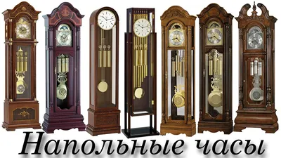 Традиционные часы с кукушкой теперь выглядят по-новому – DW – 30.10.2021